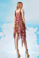 Redpoll Reversible Hi-Low Dress